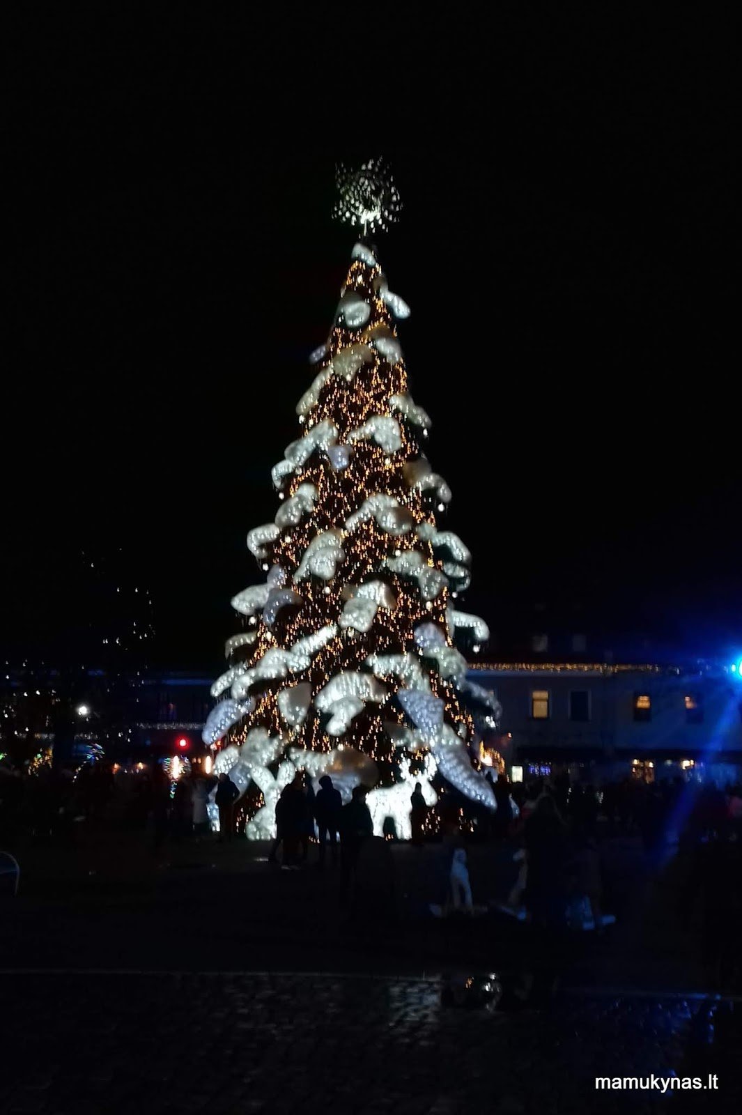 Kalėdinė eglė ,,Žiemos karalienė,, 2018 m 11
